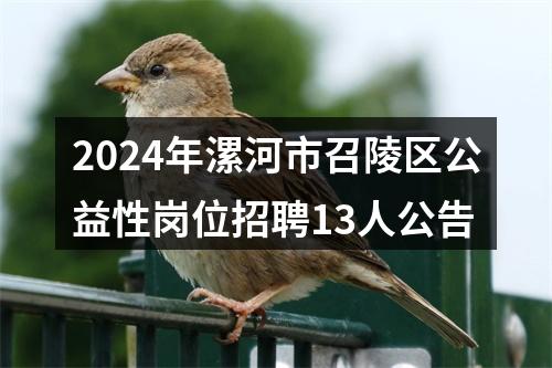2024年漯河市召陵区公益性岗位招聘13人公告 图片