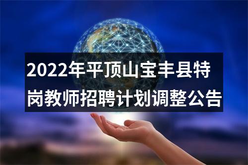 2022年平顶山宝丰县特岗教师招聘计划调整公告 图片