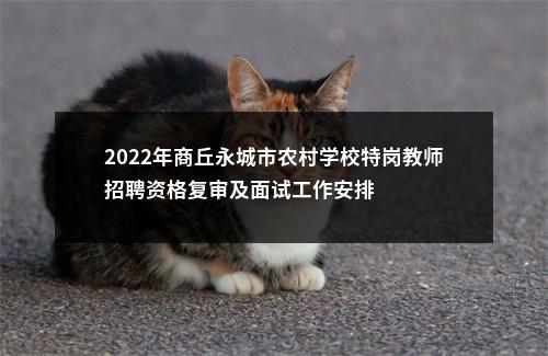 2022年商丘永城市农村学校特岗教师招聘资格复审及面试工作安排 图片