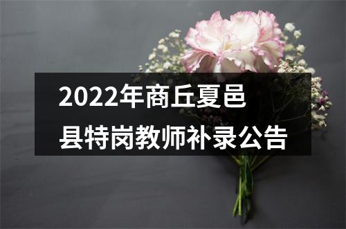 2022年商丘夏邑县特岗教师补录公告 图片
