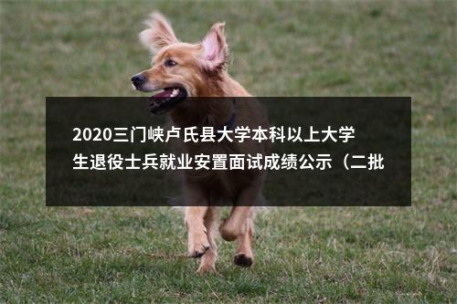 2020三门峡卢氏县大学本科以上大学生退役士兵就业安置面试成绩公示（二批） 图片