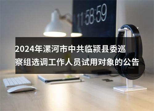2024年漯河市中共临颍县委巡察组选调工作人员试用对象的公告 图片