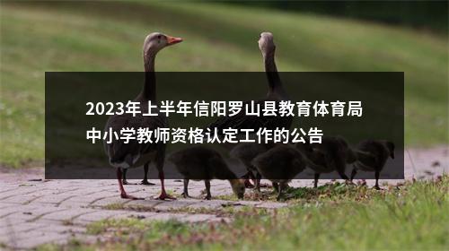 2023年上半年信阳罗山县教育体育局中小学教师资格认定工作的公告 图片