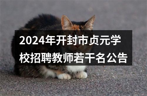 2024年开封市贞元学校招聘教师若干名公告 图片