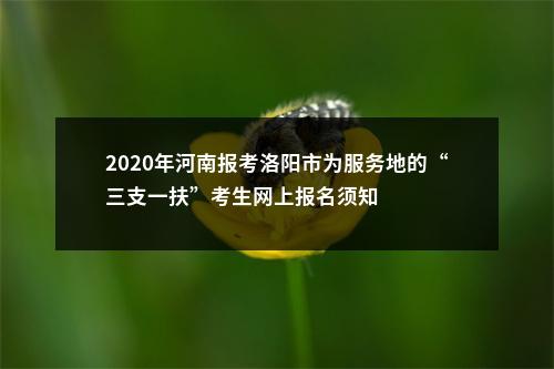 2020年河南报考洛阳市为服务地的“三支一扶”考生网上报名须知 图片
