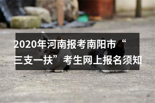 2020年河南报考南阳市“三支一扶”考生网上报名须知 图片