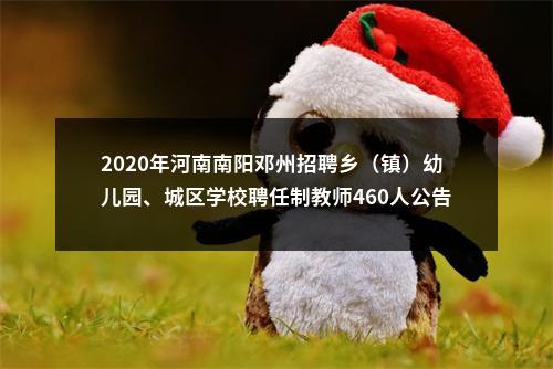 2020年河南南阳邓州招聘乡（镇）幼儿园、城区学校聘任制教师460人公告 图片