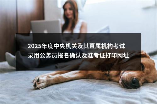 2025年度中央机关及其直属机构考试录用公务员报名确认及准考证打印网址 图片