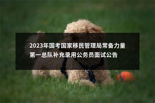2023年国考国家移民管理局常备力量第一总队补充录用公务员面试公告 图片