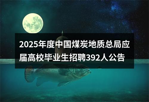 2025年度中国煤炭地质总局应届高校毕业生招聘392人公告 图片