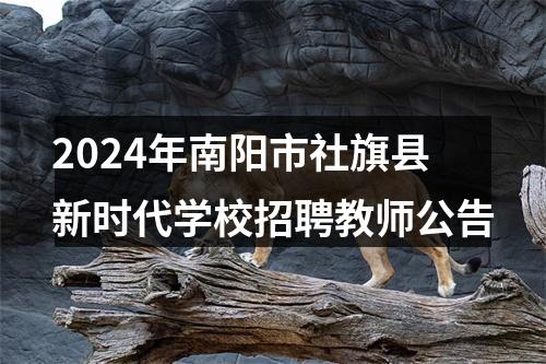 2024年南阳市社旗县新时代学校招聘教师公告 图片