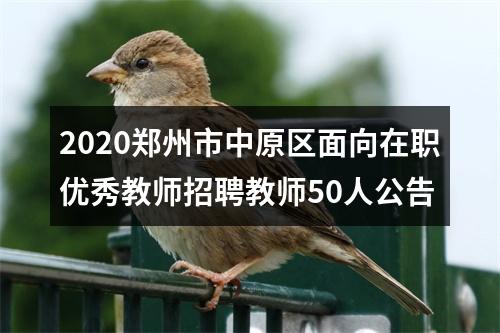 2020郑州市中原区面向在职优秀教师招聘教师50人公告 图片