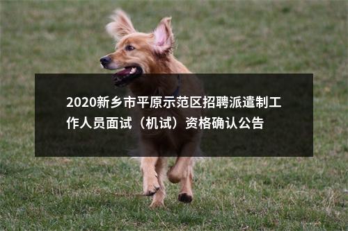 2020新乡市平原示范区招聘派遣制工作人员面试（机试）资格确认公告 图片