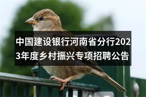 中国建设银行河南省分行2023年度乡村振兴专项招聘公告 图片