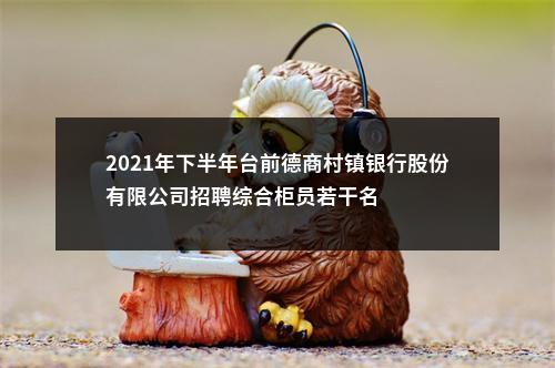 2021年下半年台前德商村镇银行股份有限公司招聘综合柜员若干名 图片