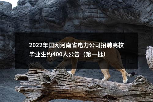 2022年国网河南省电力公司招聘高校毕业生约400人公告（第一批） 图片